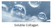 可溶性胶原(英).jpg 可溶性胶原(英).jpg