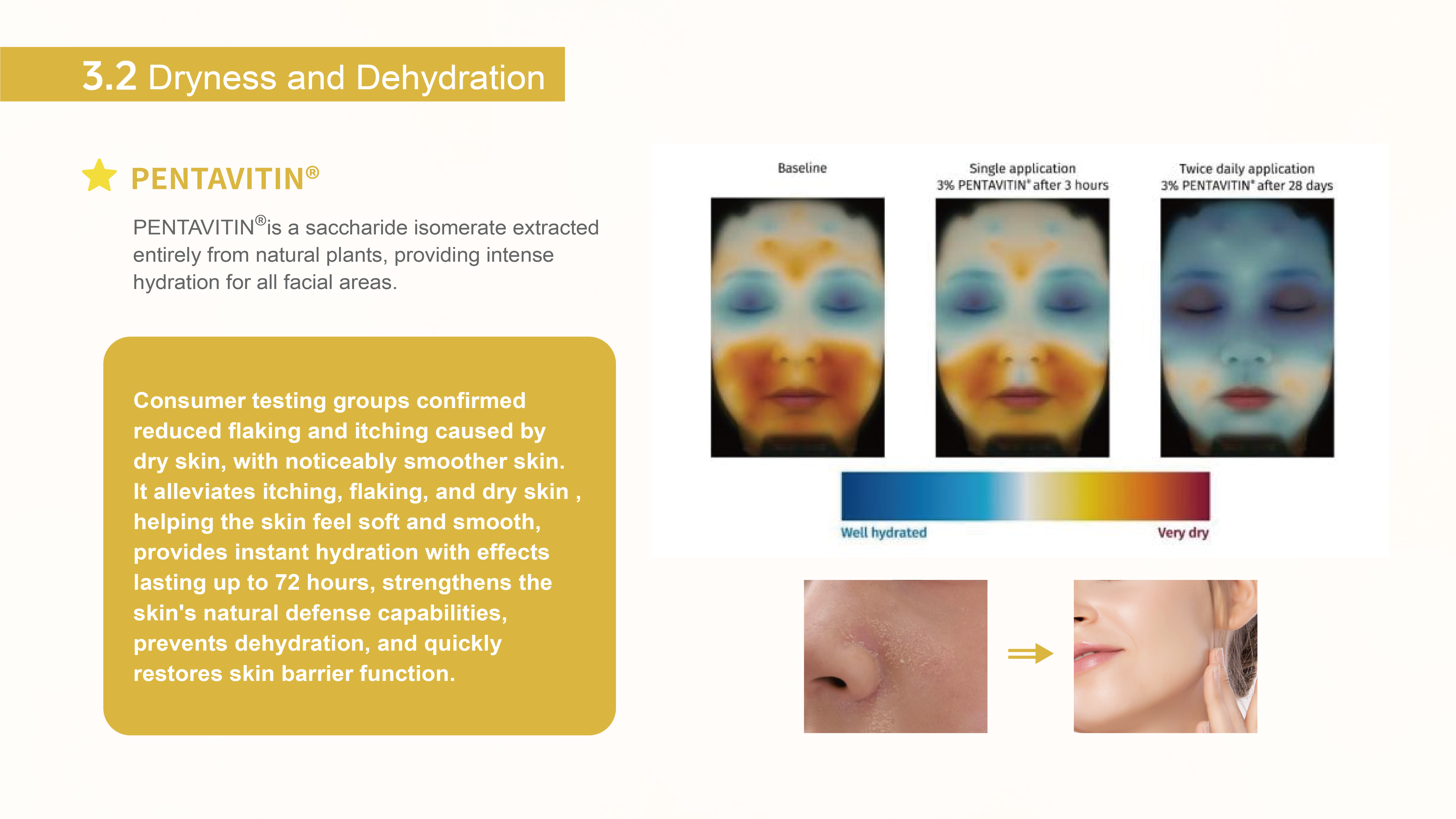 画板 6@200x.png 画板 6@200x.png