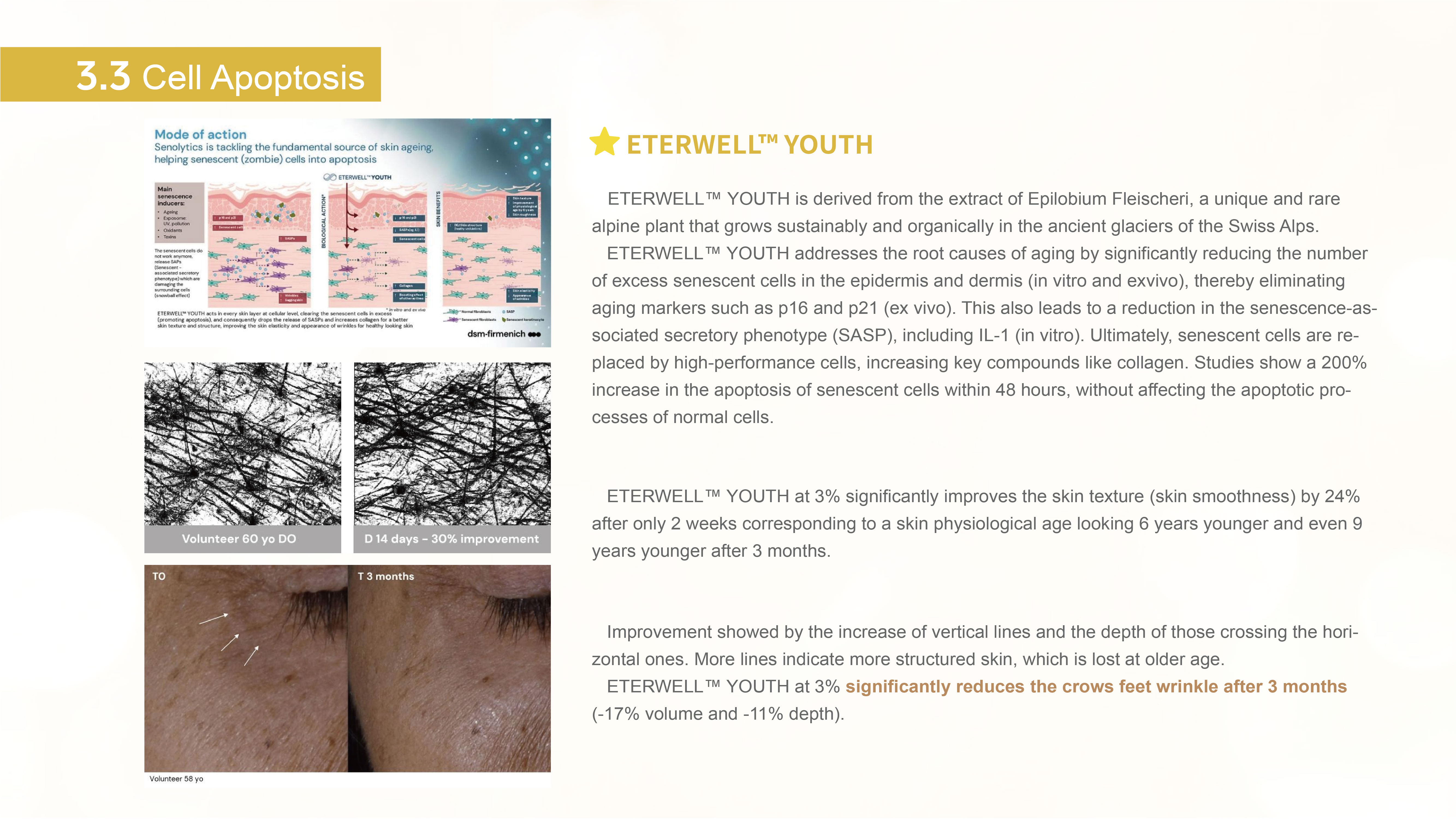 画板-7@200x.jpg 画板-7@200x.jpg