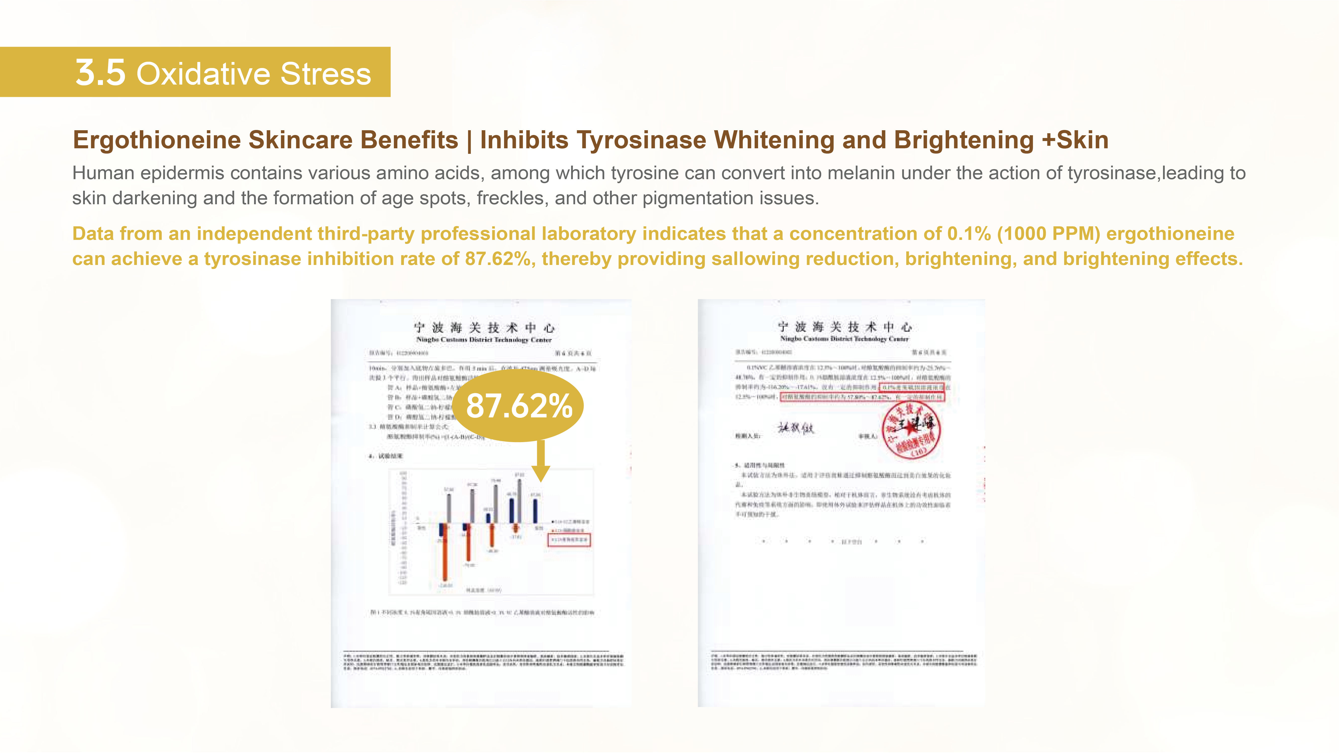 画板 12@200x.png 画板 12@200x.png