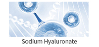 透明质酸钠(英）.jpg