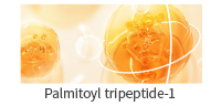 棕榈酰三肽-1(英）.jpg
