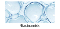 烟酰胺(英）.jpg