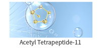 乙酰基四肽-11(英）.jpg
