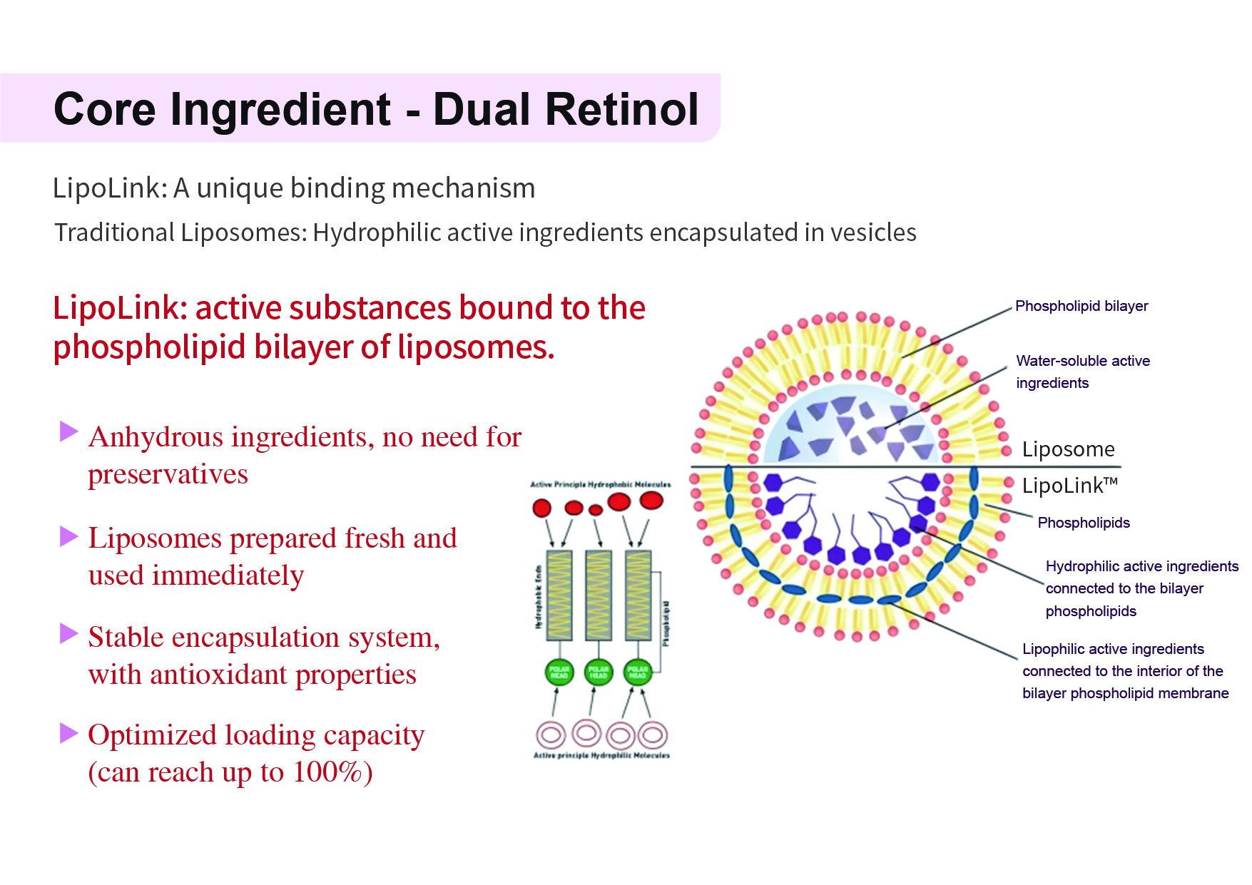 画板 10@150x-100.jpg