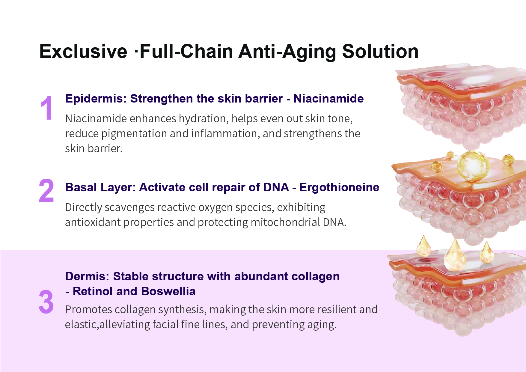 画板 9@150x-100.jpg 画板 9@150x-100.jpg