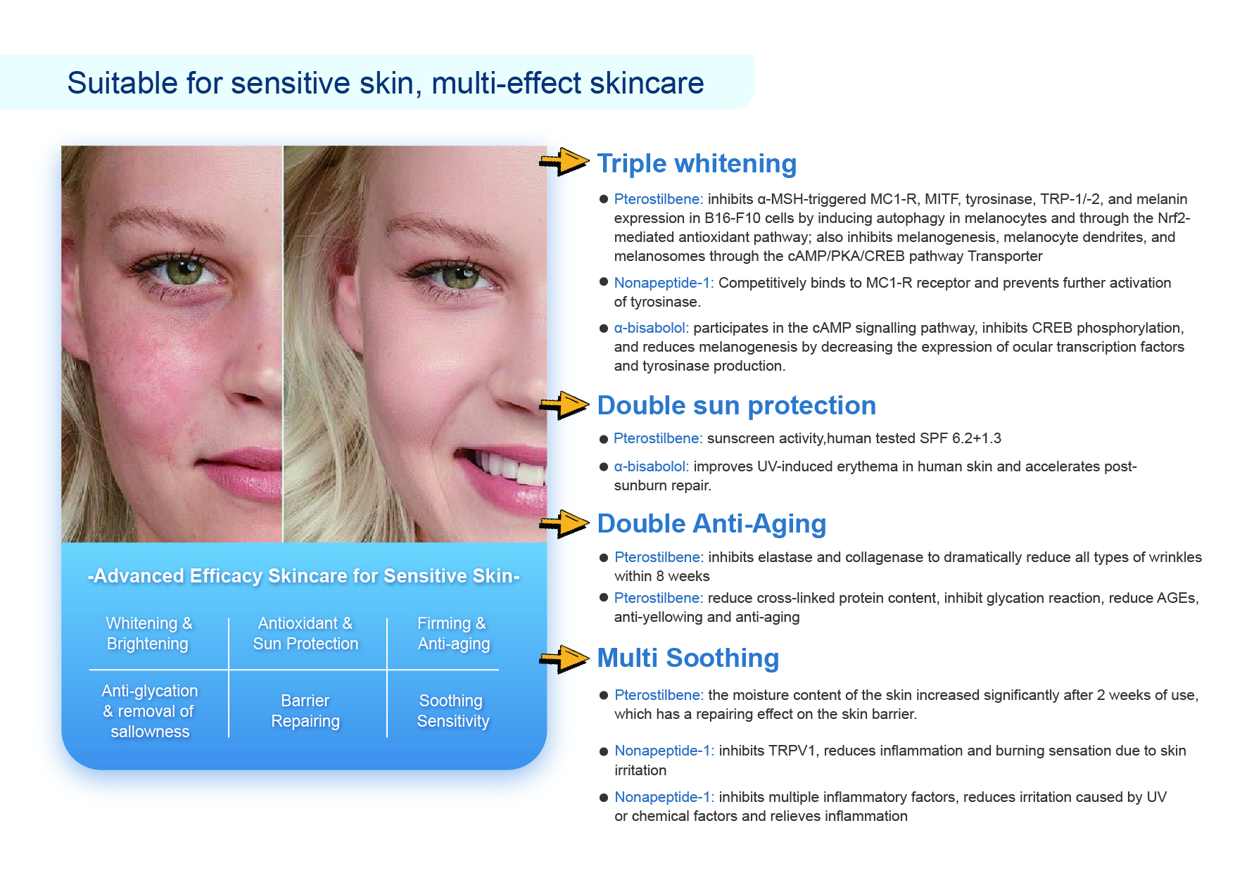 画板 33@150x-100.jpg