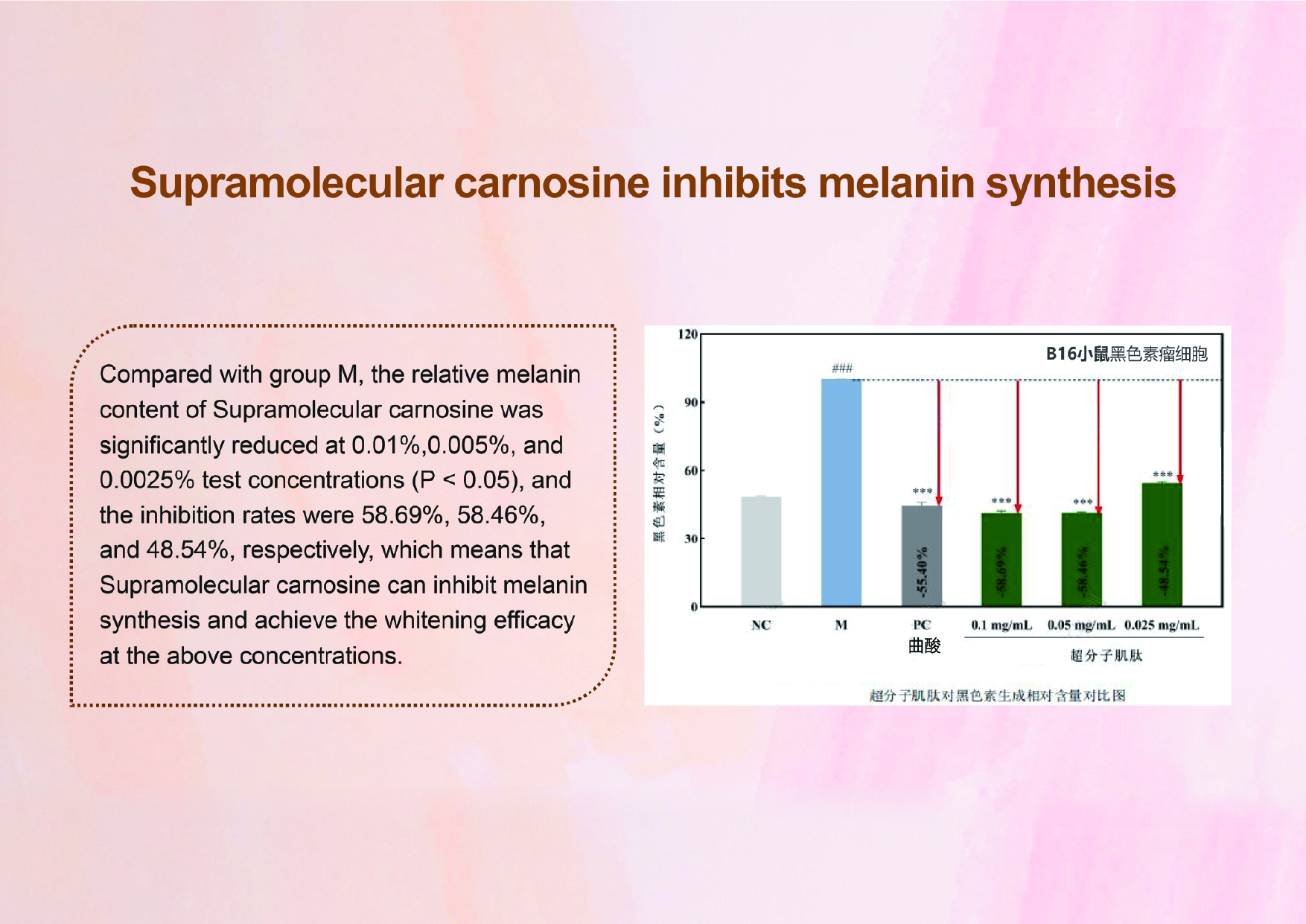 画板 41@150x-100.jpg