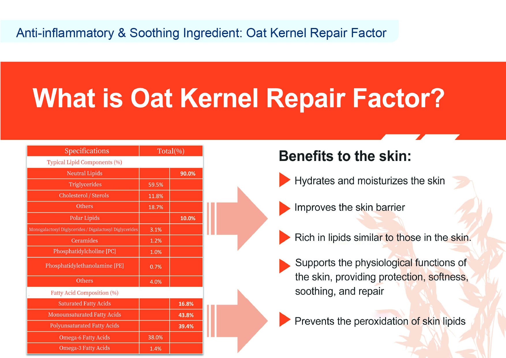 画板 51@150x-100.jpg