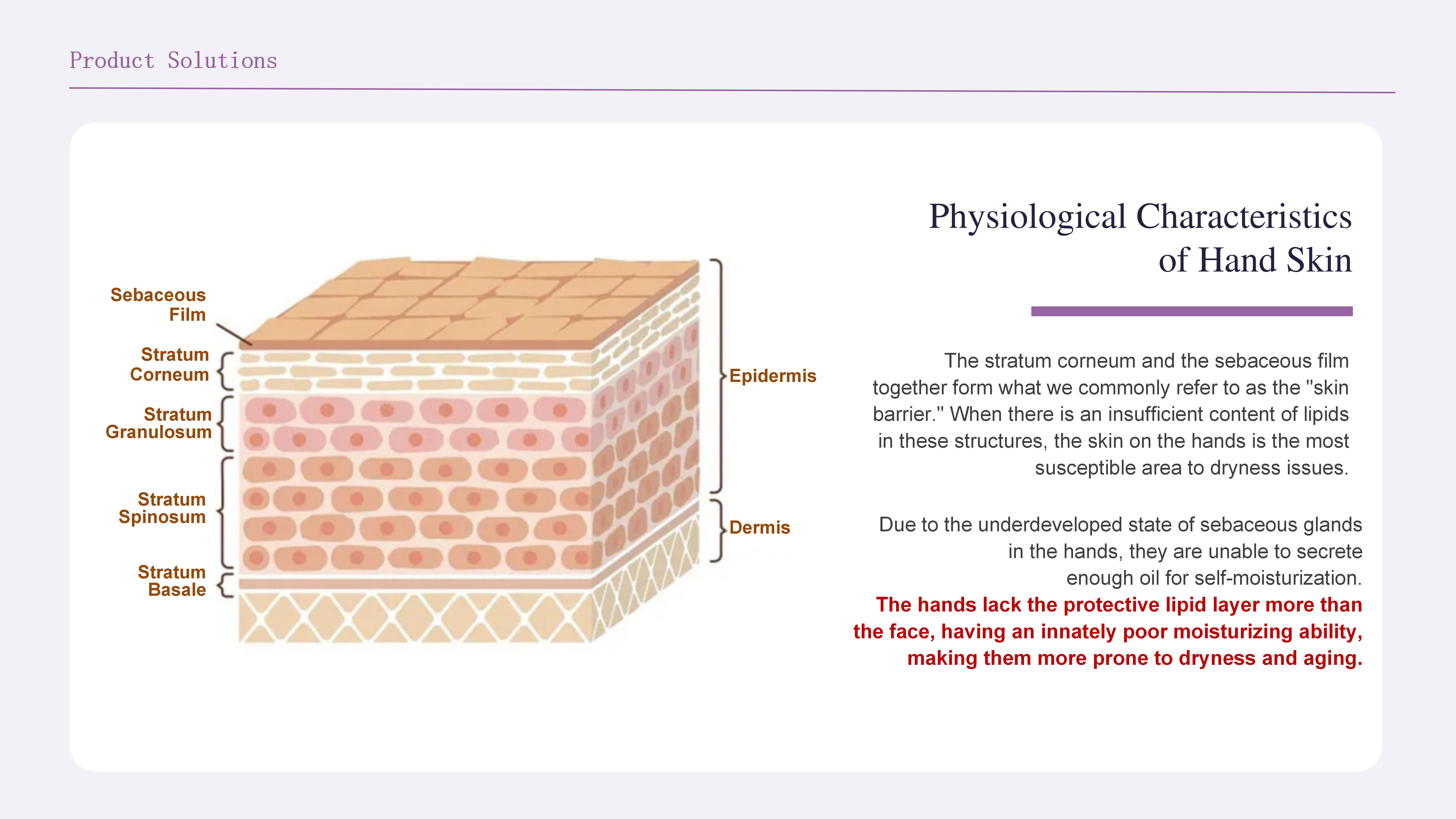 Tirunna Beauty舒眠滋养护手霜（英文版）_07(1).jpg