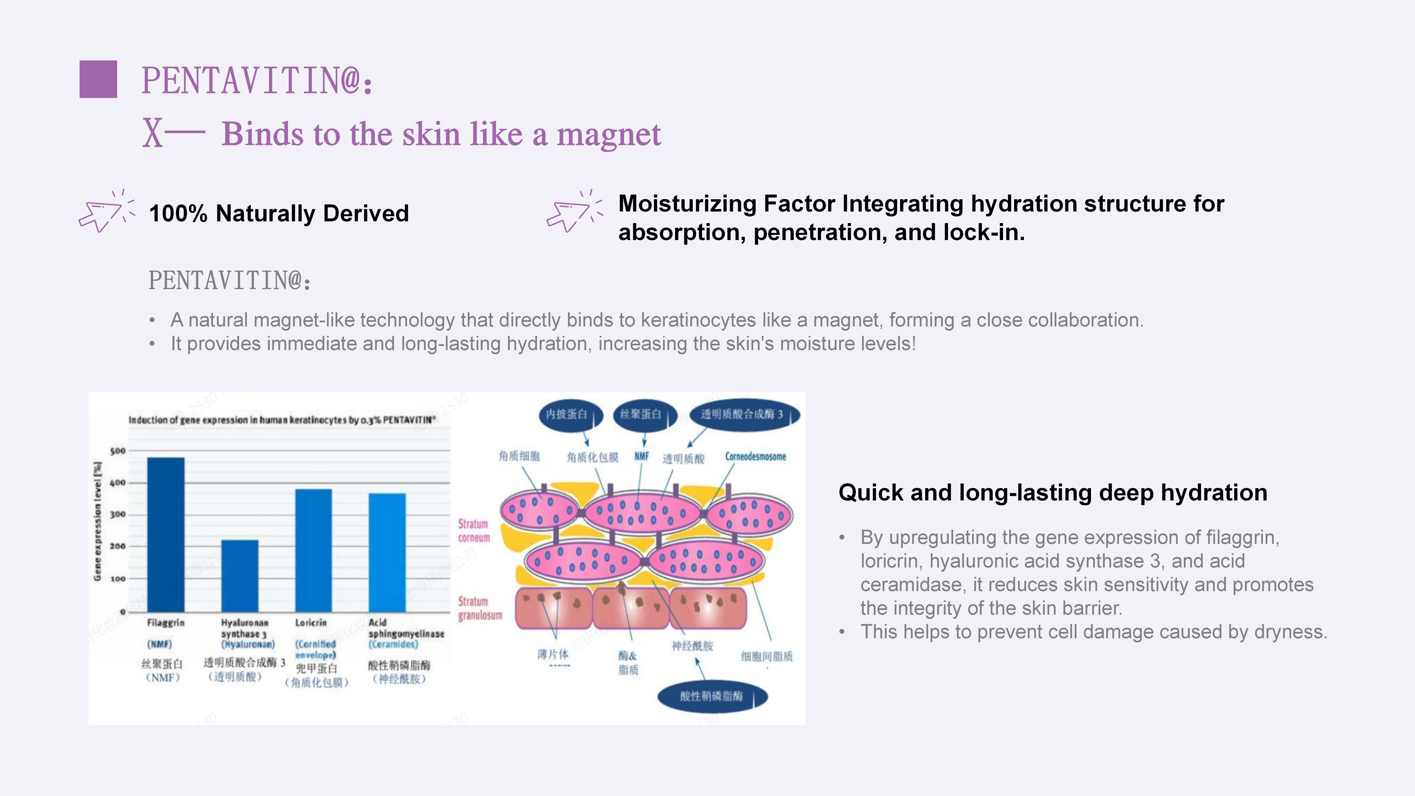 Tirunna Beauty舒眠滋养护手霜（英文版）_16(1).jpg